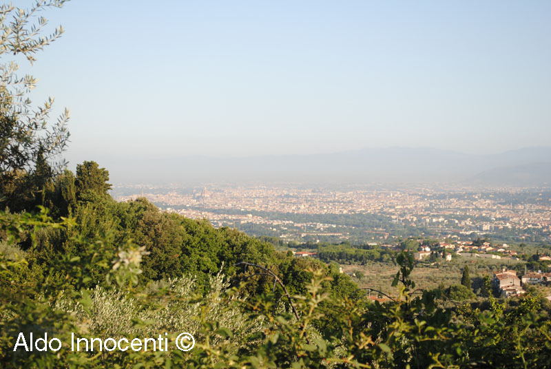 SPEDALE DEL BIGALLO: FIRENZE DAL BIGALLO